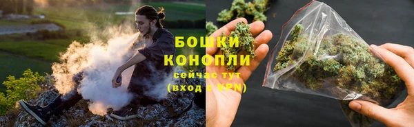 индика Сафоново