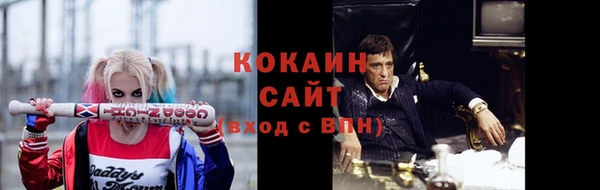 спайс Гусев