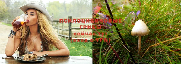 кокс Гусиноозёрск